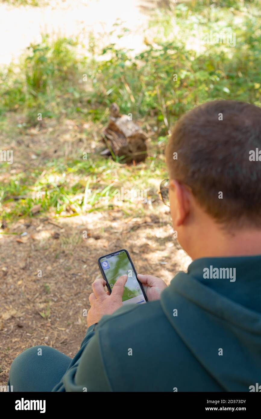 Der Mensch nutzt ein Smartphone, um im Wald zu navigieren. Orientierung auf dem Gelände mit einer Online-Karte Stockfoto
