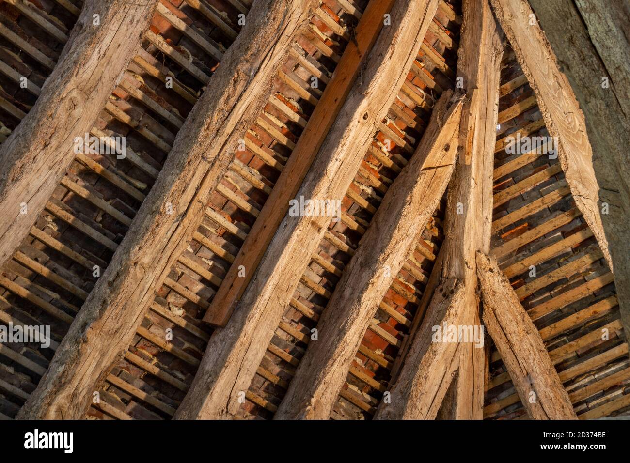 Dachschiefer/Fliesendetails in der Barley Barn, Cressing Temple Barns, einem antiken Monument zwischen Witham und Braintree in Essex, Großbritannien. Stockfoto