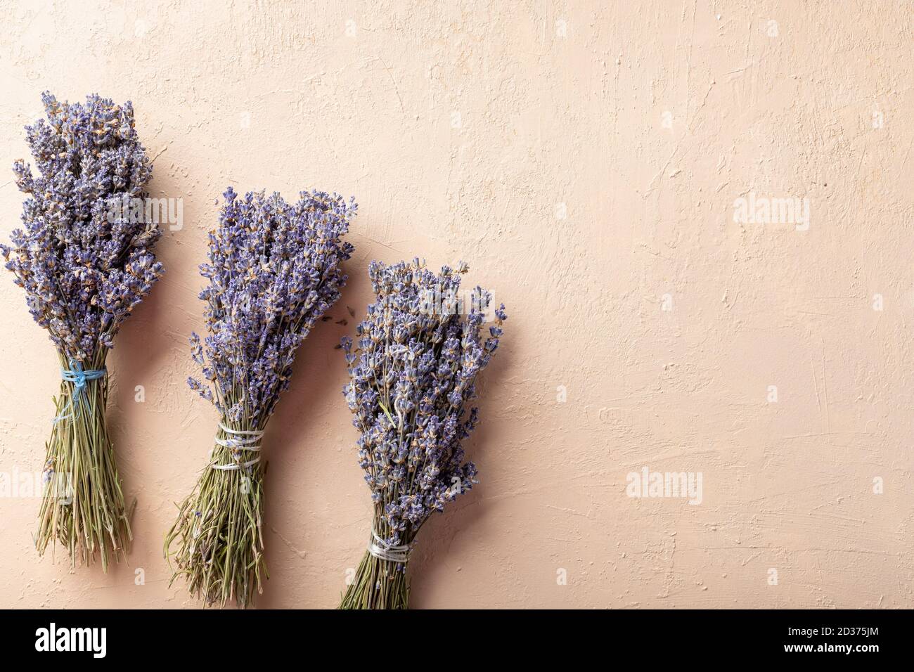 Getrockneter Lavendel in Trauben auf beigem Gips Hintergrund Stockfoto