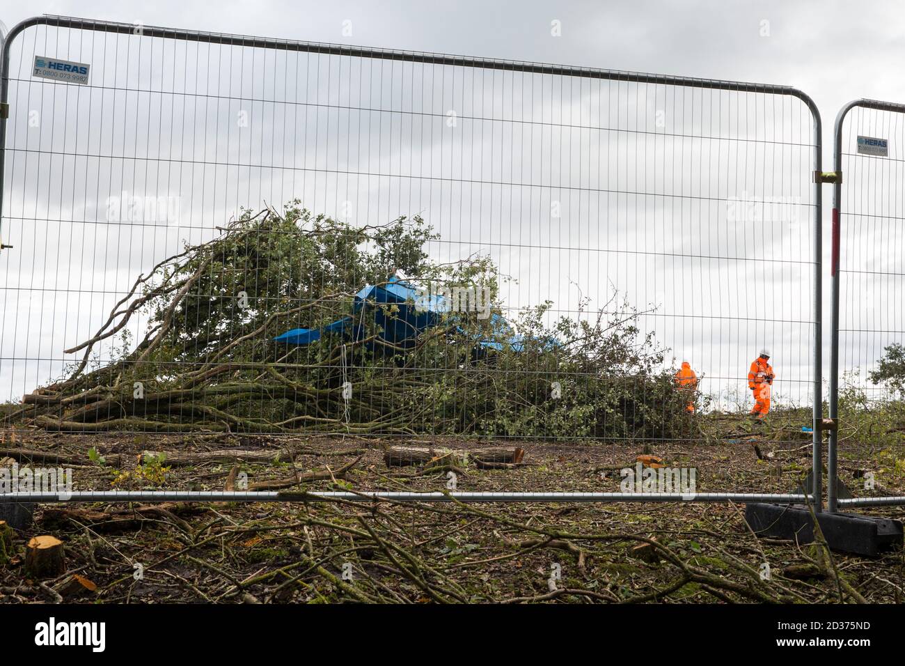 Calvert, Großbritannien. Oktober 2020. Ein Gebiet von Calvert Jubilee Naturschutzgebiet von Bäumen und Vegetation von Auftragnehmern im Auftrag der HS2 Ltd gerodet HS2 Ltd beschlagnahmte Besitz der östlichen Seite des Naturschutzgebietes, Das vom Berks, Bucks und Oxon Wildlife Trust (BBOWT) gepflegt wird und Heimat von Bittern, Zuchtseeschwalben und einigen der UKÕs seltensten Schmetterlinge ist, wird am 22. September durchgeführt, um Abfertigungsarbeiten im Zusammenhang mit der Hochgeschwindigkeitsstrecke HS2 durchzuführen. Kredit: Mark Kerrison/Alamy Live Nachrichten Stockfoto