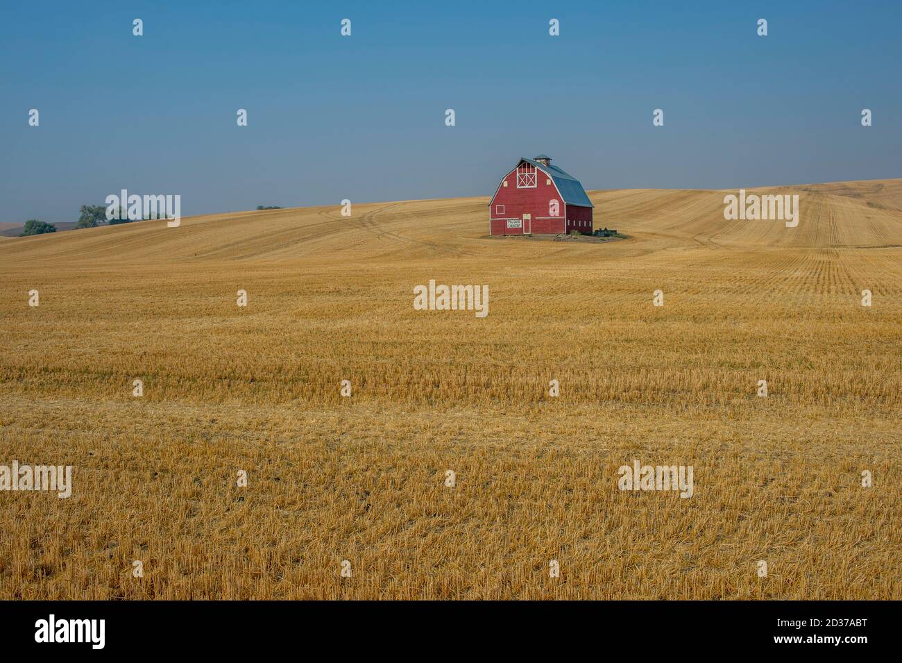 Rote Scheune in geerntetem Weizenfeld im Palouse bei Pullman, Eastern Washington, USA. Stockfoto
