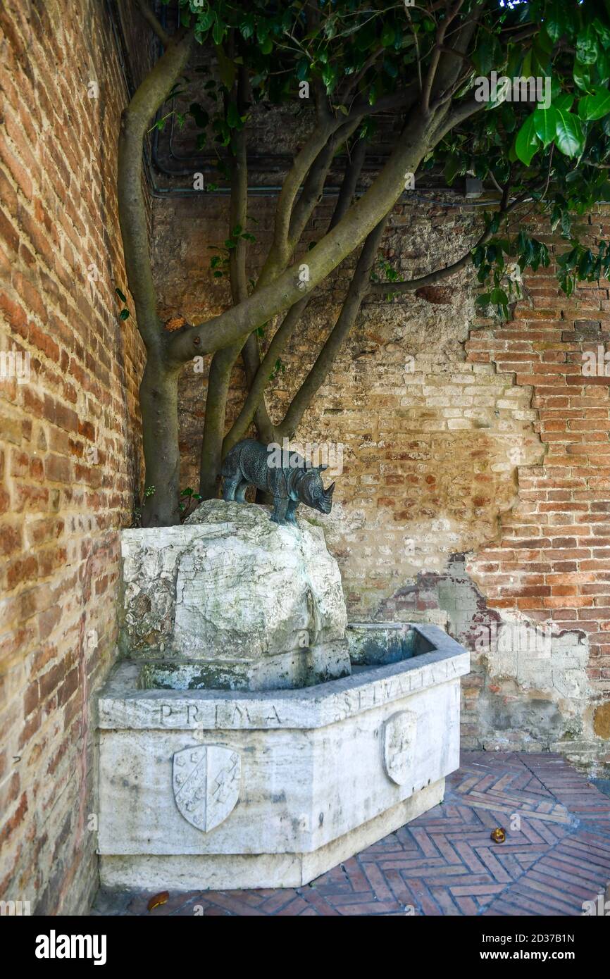 Rhinoceros Brunnen von Vinicio Guastatori (1965), Symbol der Contrada della Selva, im historischen Zentrum von Siena, Toskana, Italien Stockfoto