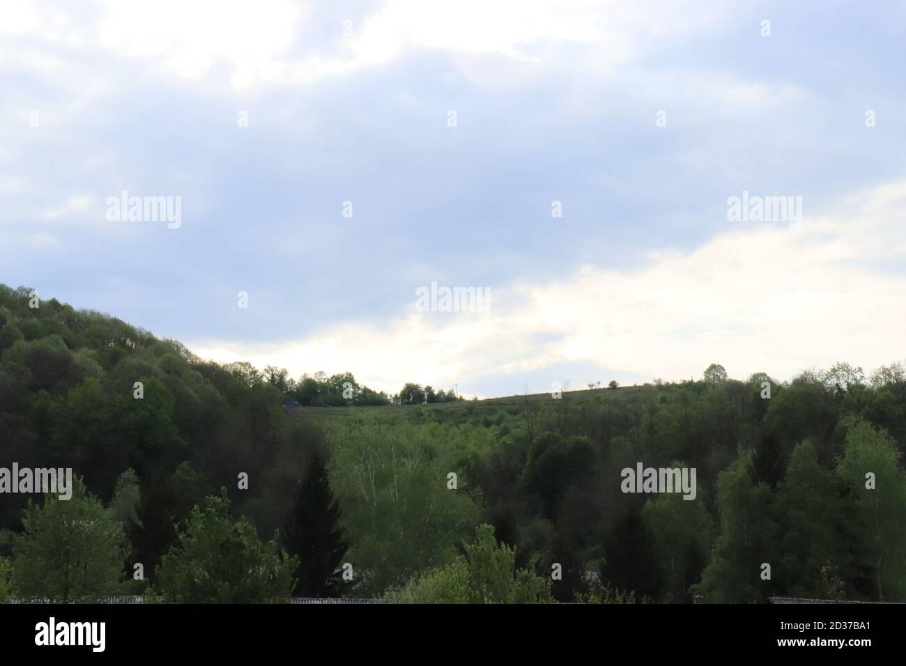 Grüne grasbewachsene und bewaldete Gebiete Stockfoto