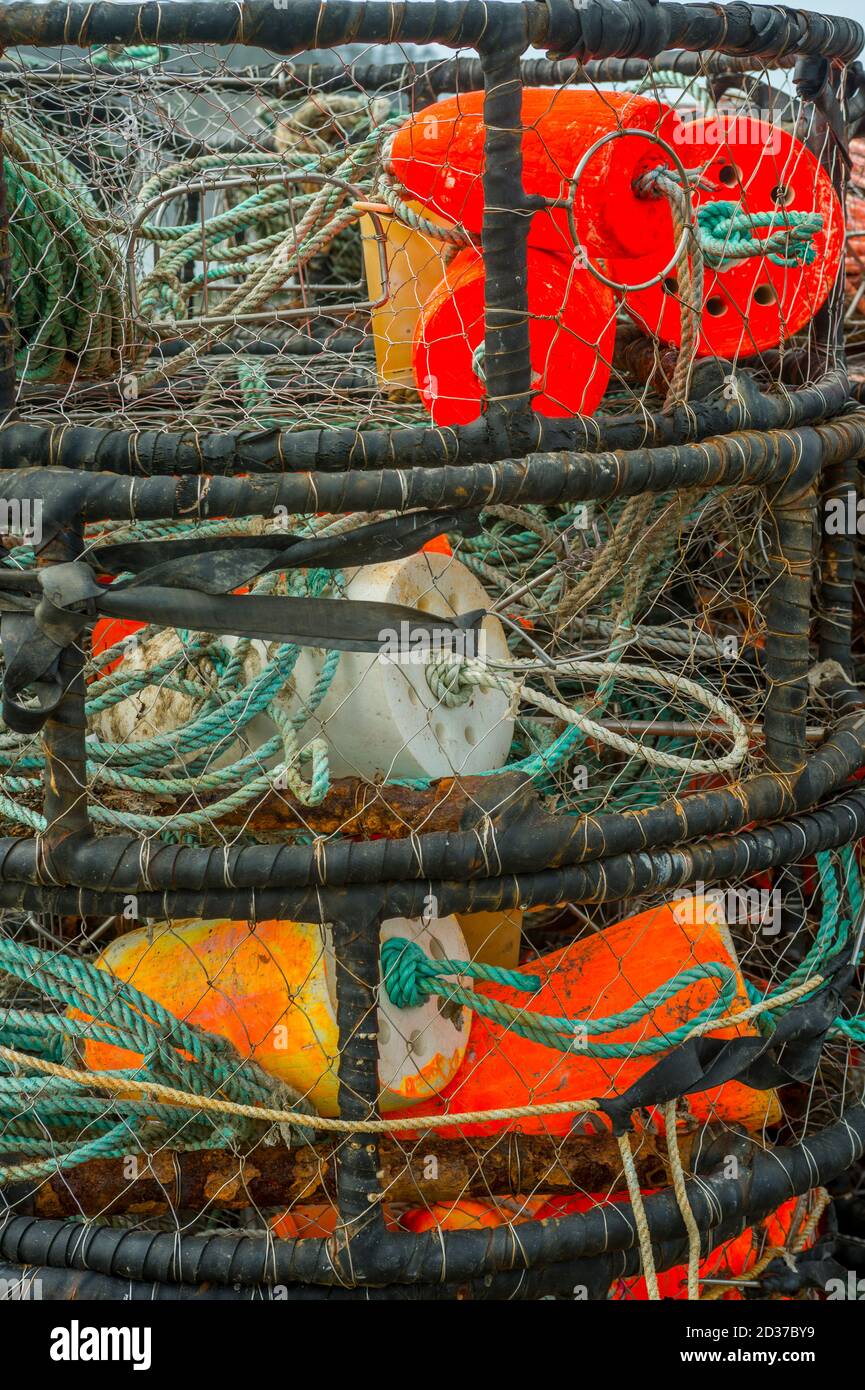 Krabbenbehälter im Hafen von La Push, Olympic Peninsula im Staat Washington, USA. Stockfoto