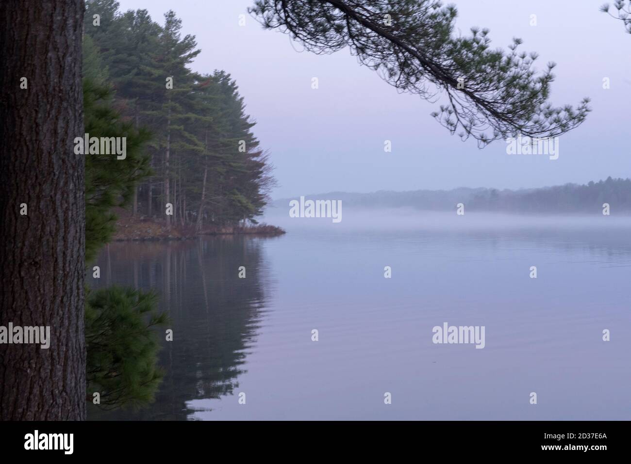 Der frühmorgendliche Nebel auf einem See, dessen Bäume auf dem stillen Wasser im Norden Ontario, Kanada, reflektieren Stockfoto