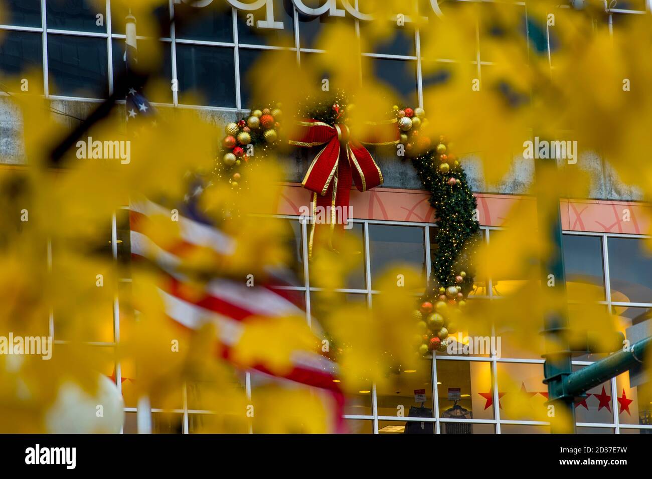 Amerikanische Flagge vor dem Bellevue Square mit Weihnachtsschmuck, fotografiert durch einen Baum in Herbstfarben in Bellevue, Washington, USA. Stockfoto