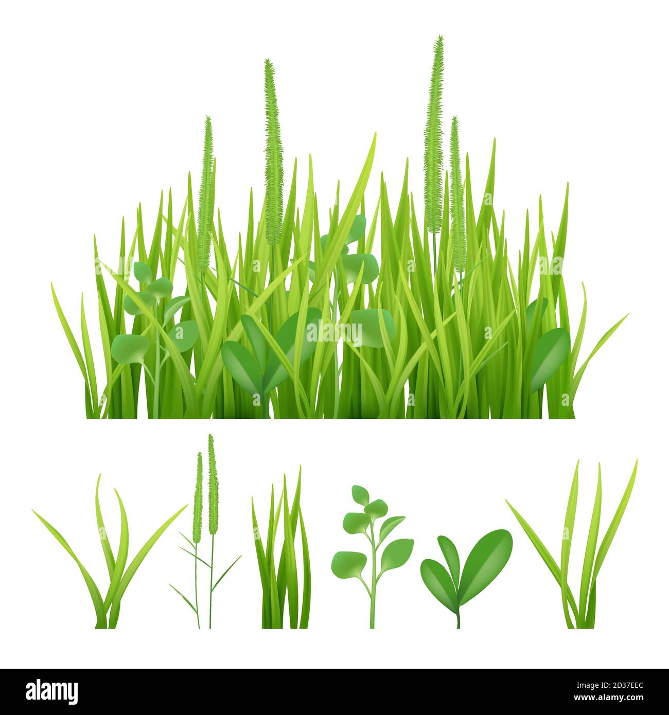 Grünes Gras. Frische Gartenelemente Natur Vektor Bilder von Kräutern und Blättern Stock Vektor