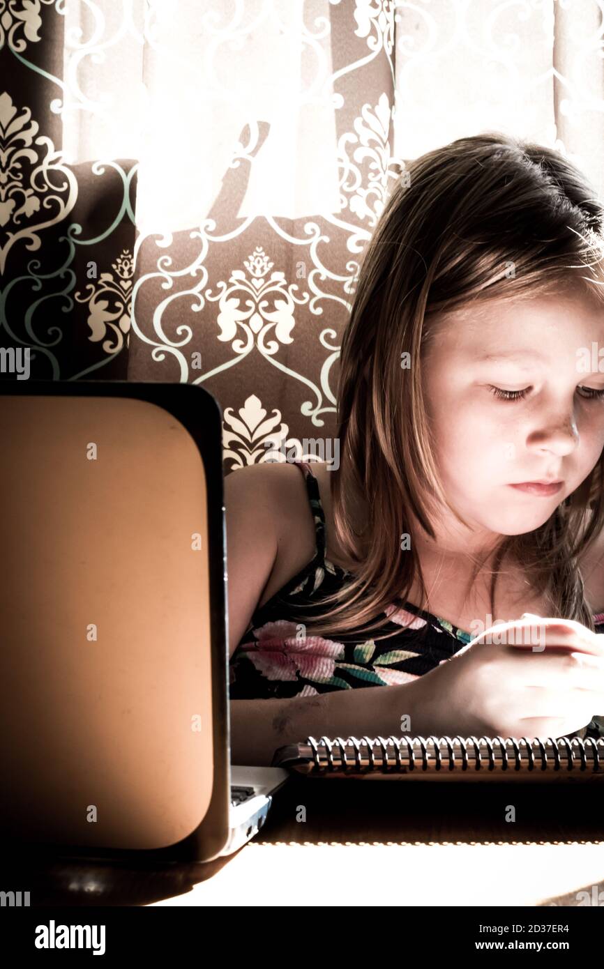 Virtuelle US 2020 Stockfoto