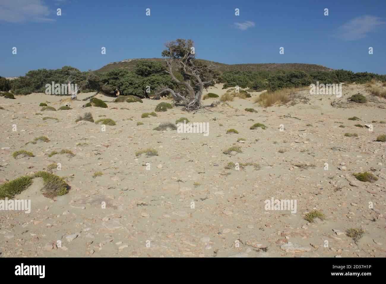 Die Sanddünen von Simos Strand in Elafonisos Insel, Griechenland Stockfoto