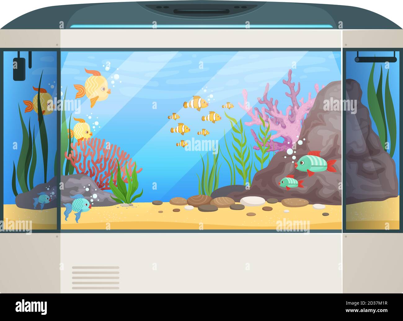 Großes Aquarium. Fische und Wasserpflanzen in Glas Aquarium Tank Unterwasserleben Vektor Cartoon Illustration Stock Vektor