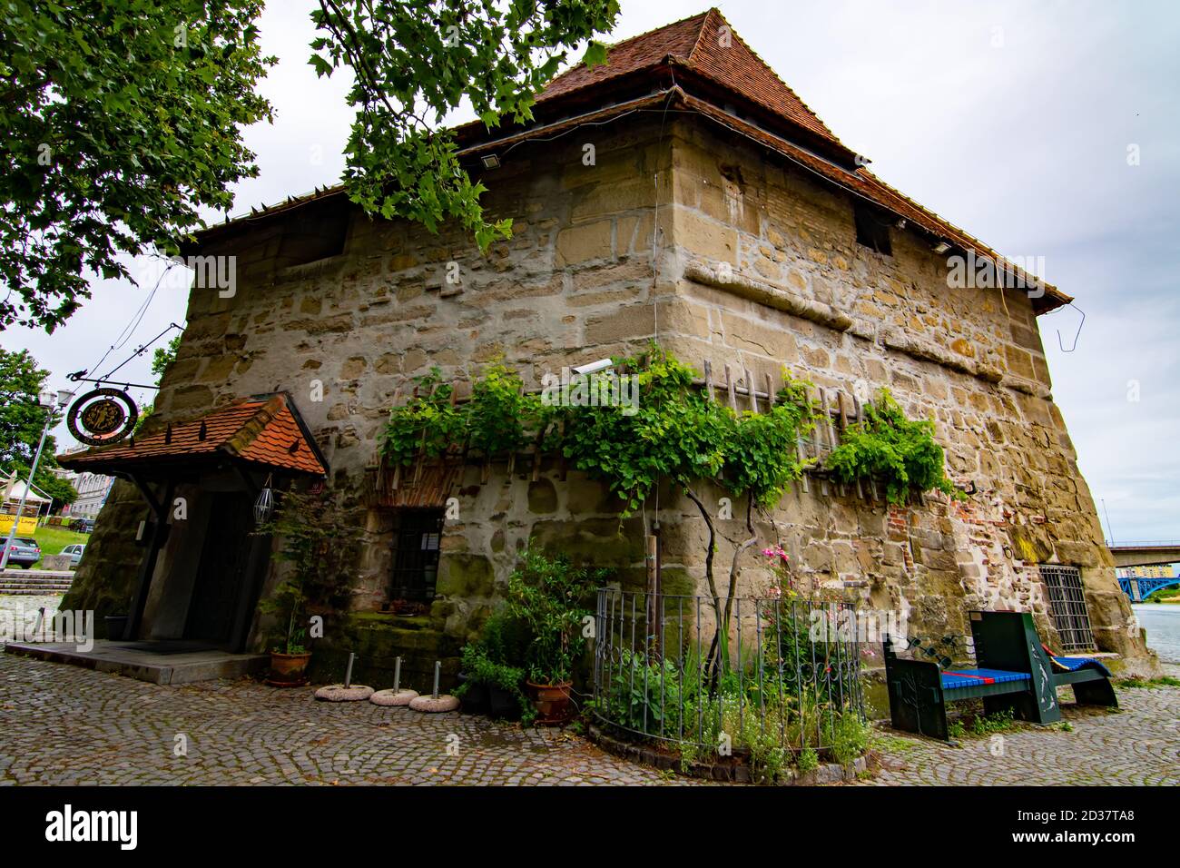 Altes Kellergebäude mit Weinpflanzen, Maribor, Slowenien Stockfoto