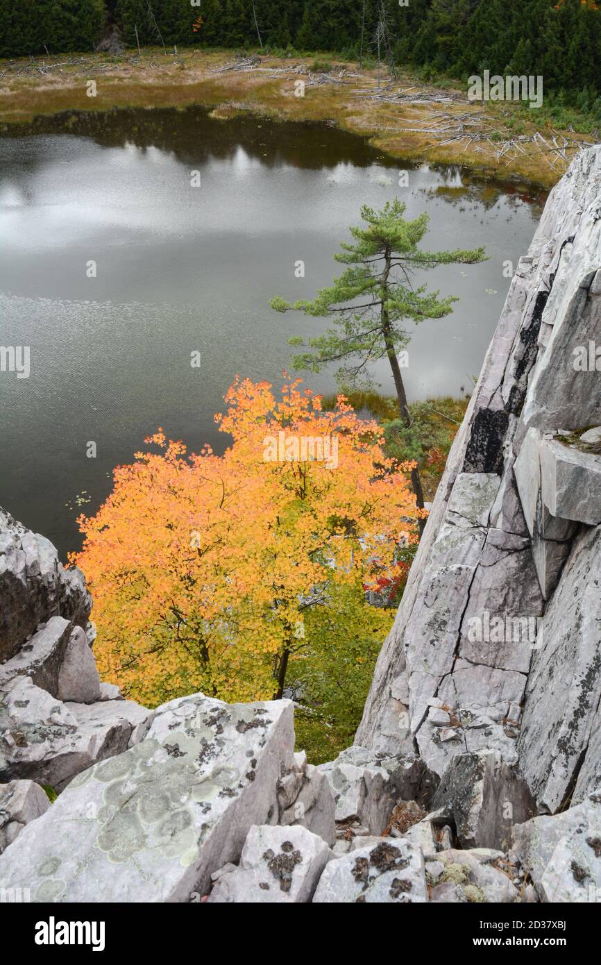 Felsige Quarzit-Klippen über Herbstbaumfarben und ein See in den La Cloche Mountains im Killarney Provincial Park, Ontario, Kanada. Stockfoto