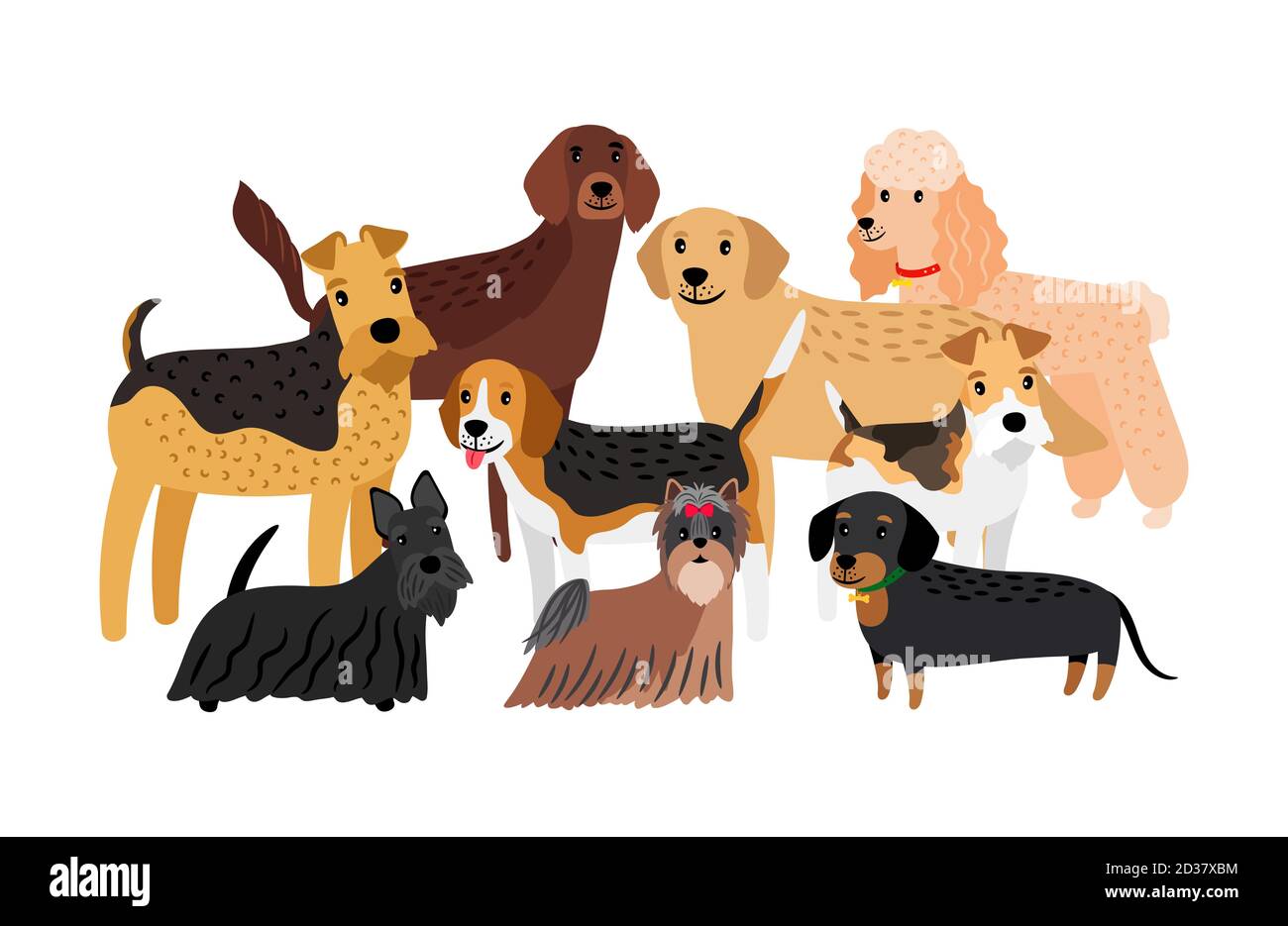 Gruppe von Jagdhunden Rassen Vektor-Illustration. Cartoon-Charakter Haustiere auf weißem Hintergrund isoliert Stock Vektor