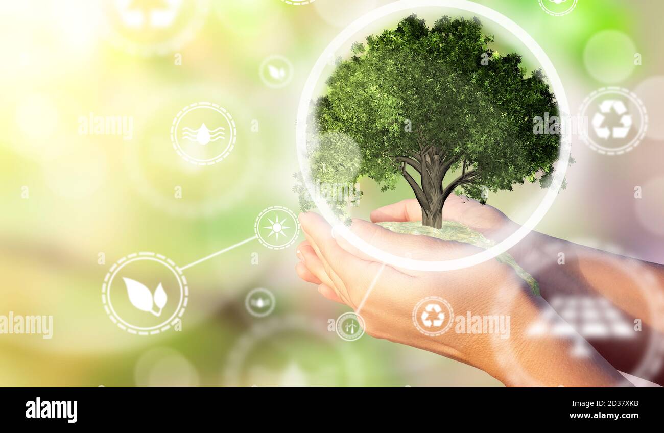 Hände einer Frau, die einen Miniaturbaum mit Symbol für erneuerbare Energie hält. Ökologische Biodiversität im Ökosystemkonzept. Hintergrund als Konzept von energ Stockfoto