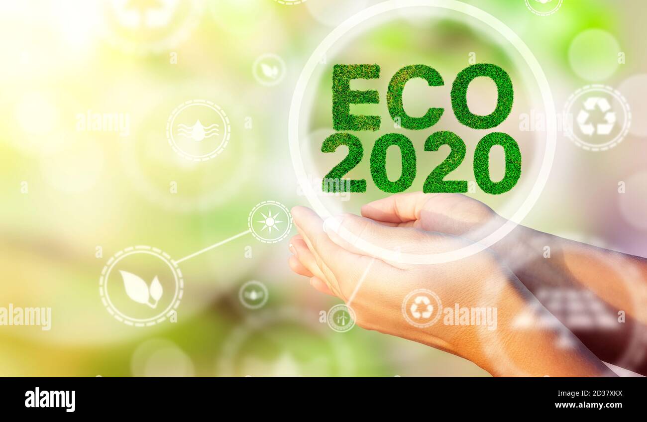 Hände einer Frau, die einen Text ECO 2020 hält. Ökologische Biodiversität im Ökosystemkonzept. Hintergrund als Konzept der Energieeffizienz. Die Kraft von gre Stockfoto