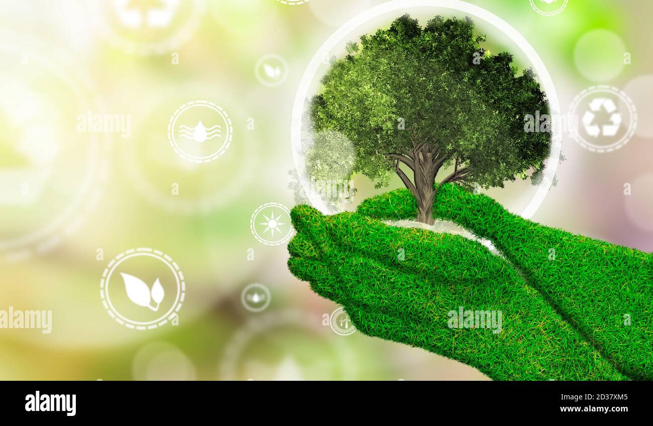 Hände einer Frau mit Textur Gras hält einen Miniaturbaum mit erneuerbaren Energien Symbol. Ökologische Biodiversität im Ökosystemkonzept. Hintergrund als Stockfoto