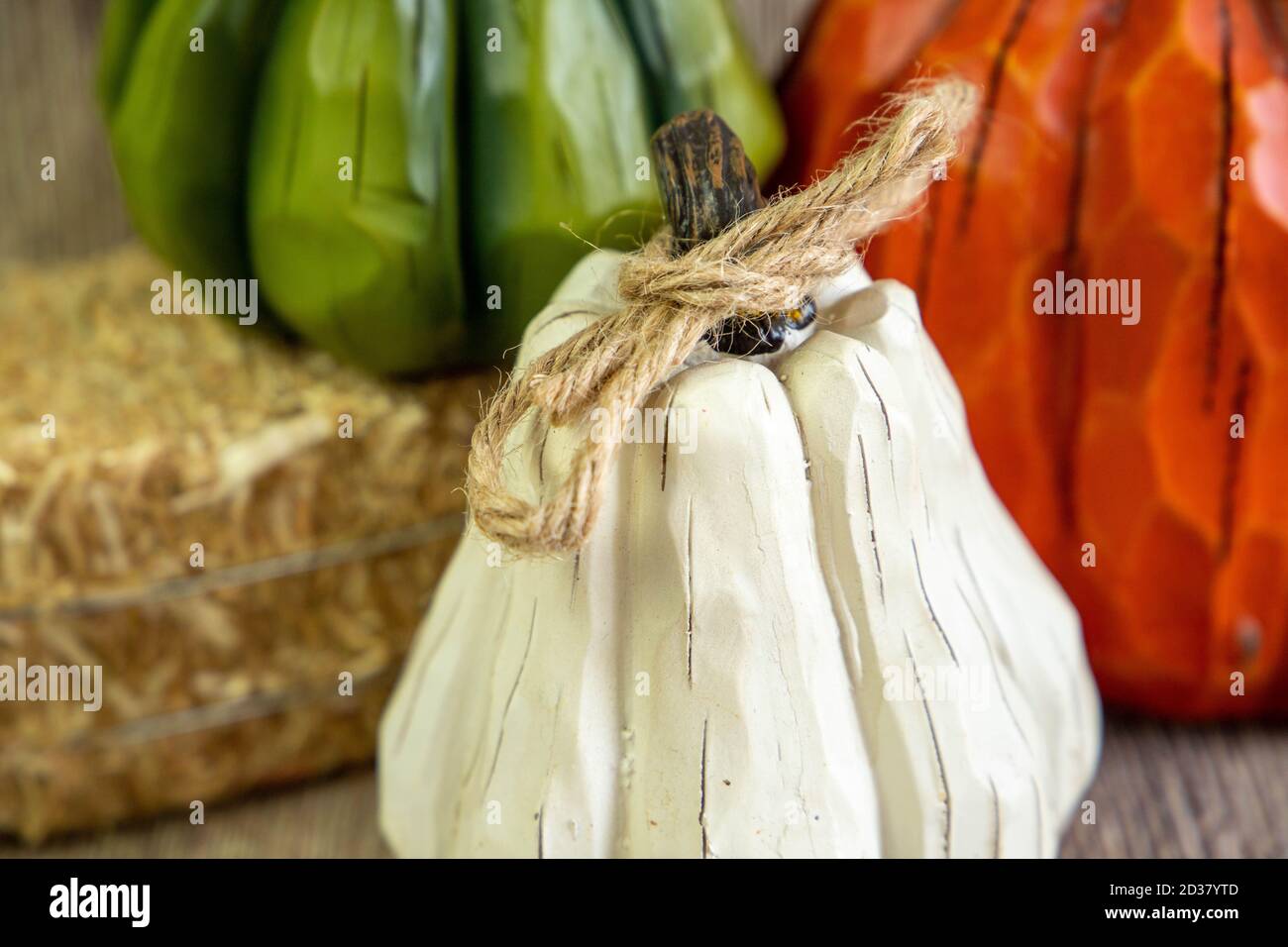 Nahansicht des weißen Kürbisses mit der unscharfen Ansicht auf der Rückseite mit anderen farbigen Kürbissen. Stockfoto