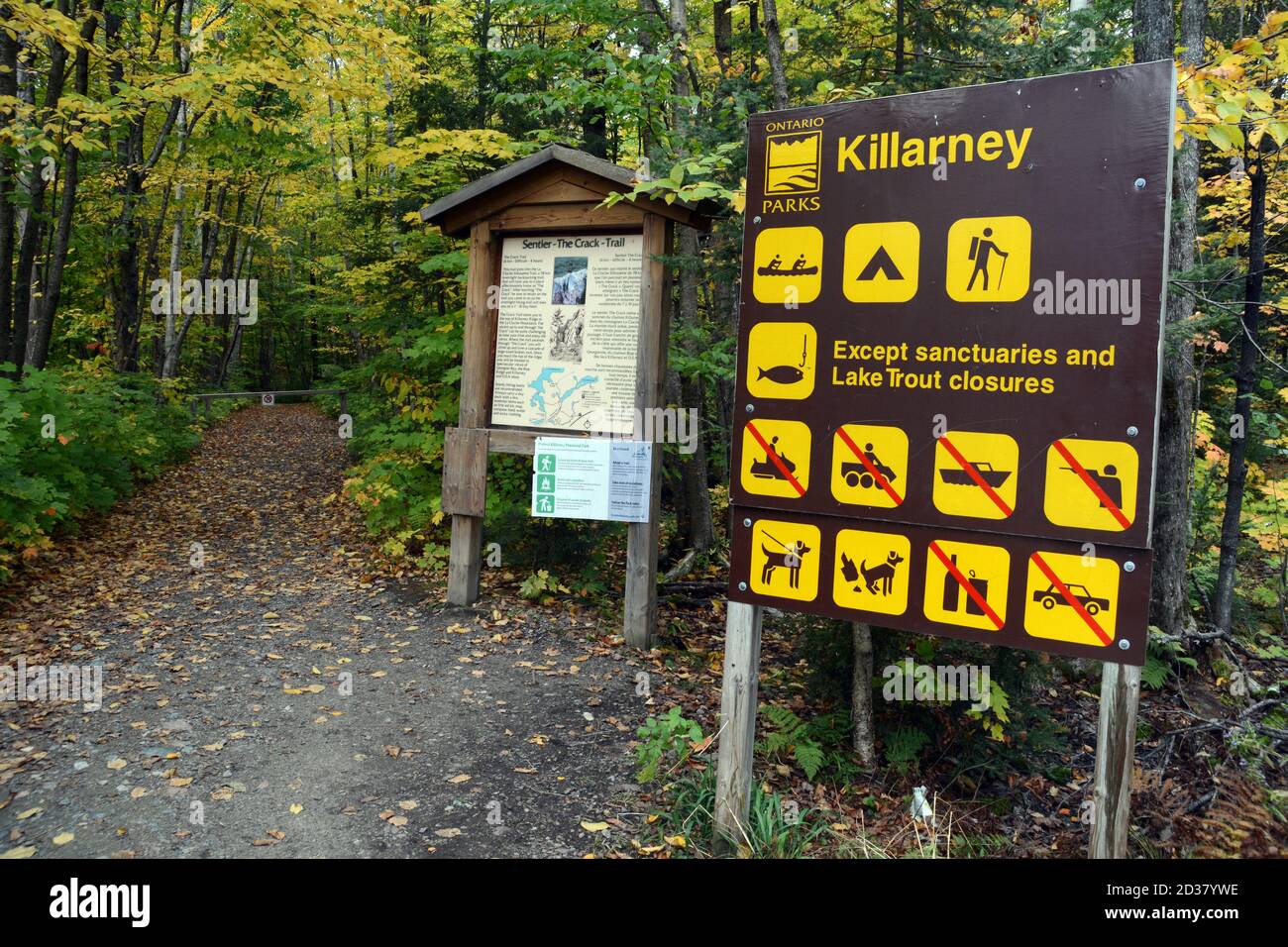 Herbstbaumfarben am Eingang und Ausgangspunkt des Crack Trail im Killarney Provincial Park, Ontario, Kanada. Stockfoto