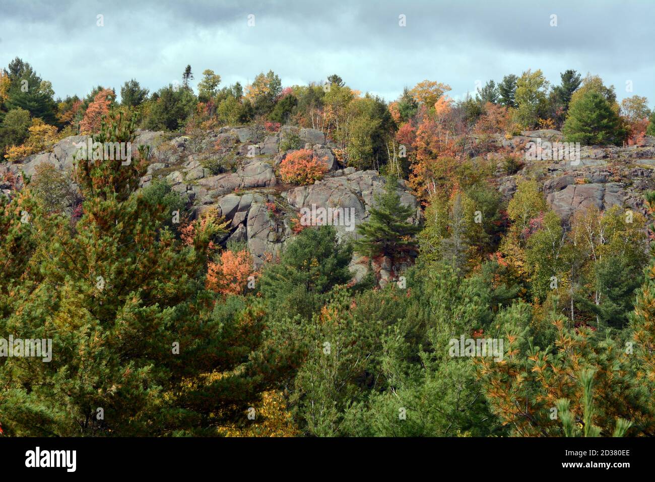 Herbstfarben in einem gemischten Nadelwald und Laubwald inmitten der felsigen Hügel und Klippen des Killarney Provincial Park, Ontario, Kanada. Stockfoto