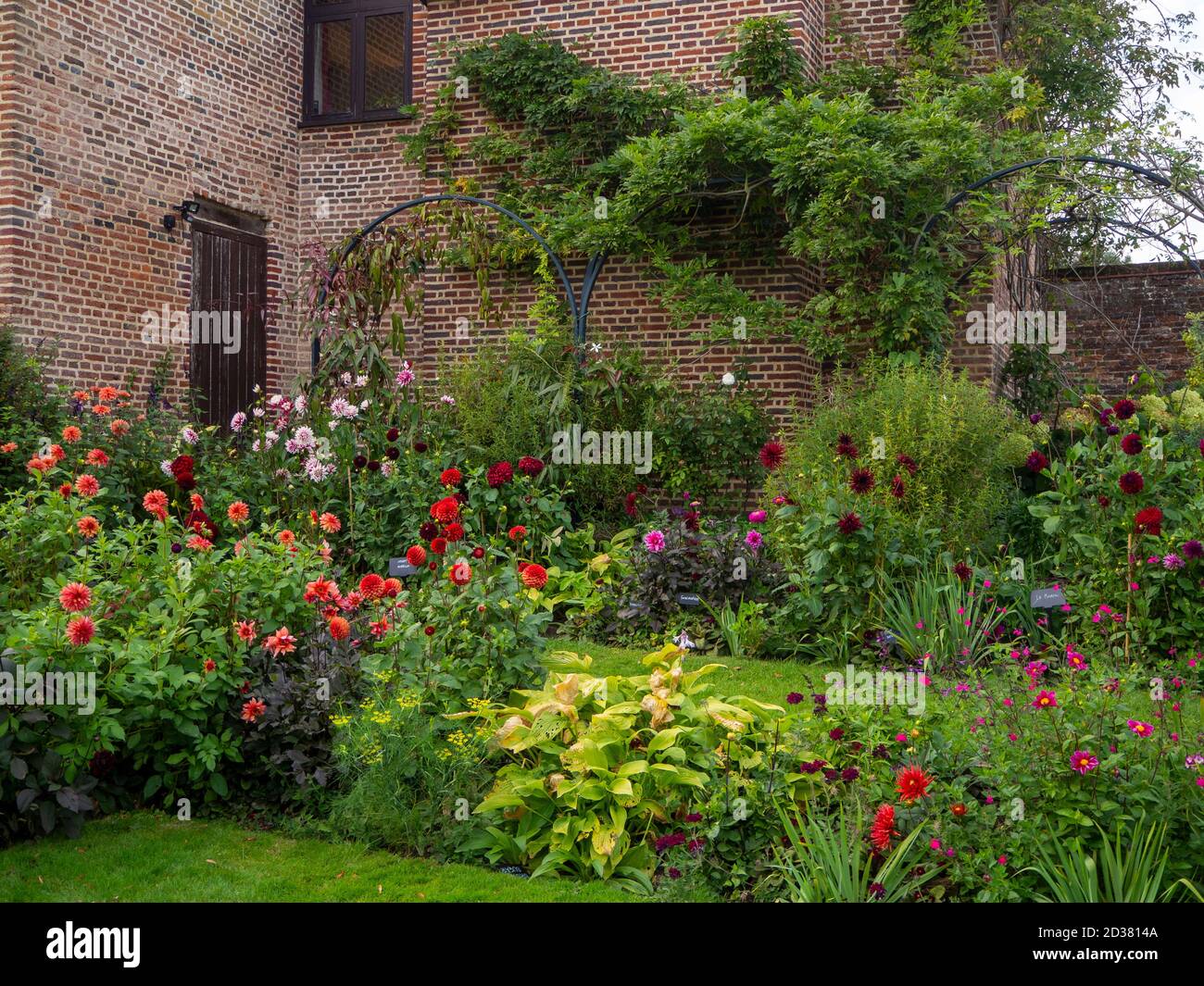 Chenies Manor versunkenen Garten im September. Dahlia Sorten von der Pavillon oder Old Nursery.Dahlias 'Finchcocks', 'Jescot Julie', 'Karma Choc'. Stockfoto