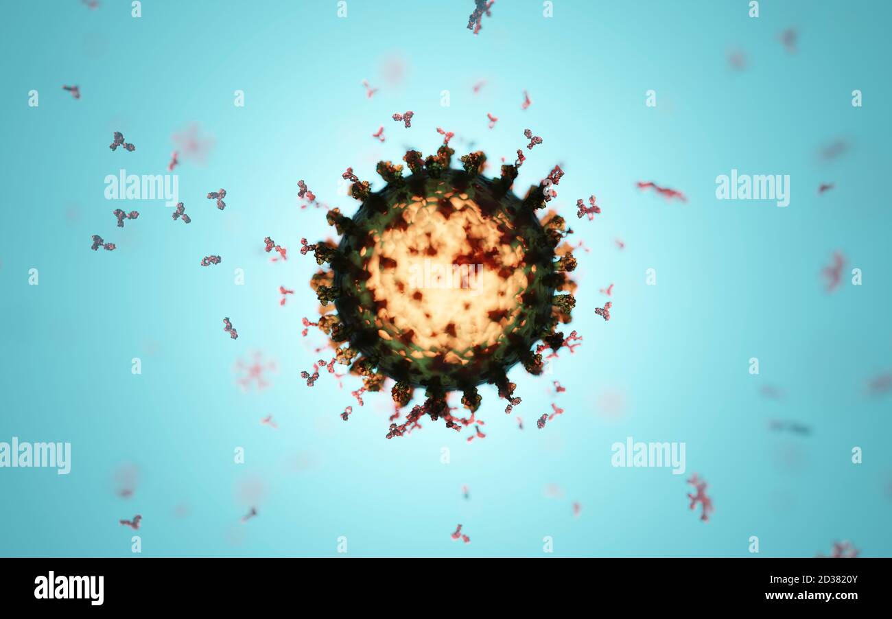 Cluster von humanen Antikörpern (IgG und IgM), die ein Corona-Virus angreifen (Covid 19). Ein genaues Modell auf Basis wissenschaftlicher Strukturdaten aus dem HVE. Stockfoto