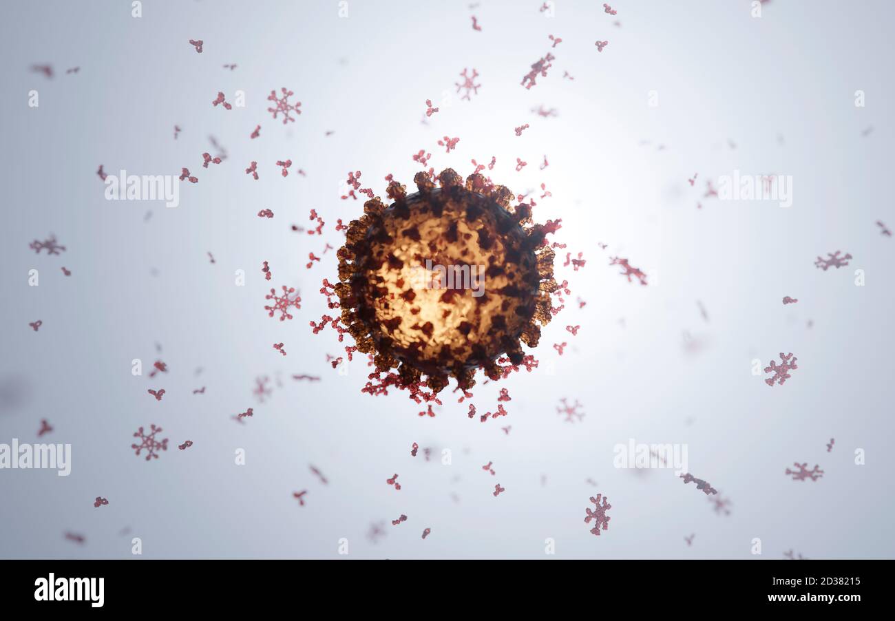Cluster von humanen Antikörpern (IgG und IgM), die ein Corona-Virus angreifen (Covid 19). Ein genaues Modell auf Basis wissenschaftlicher Strukturdaten aus dem HVE. Stockfoto