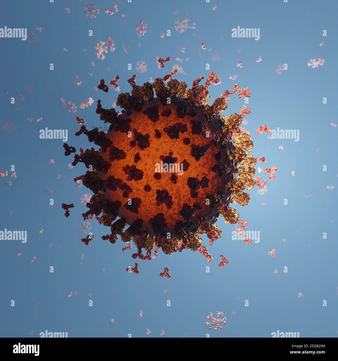 Humane Antikörper (IgG und IgM), die ein Corona-Virus angreifen (SARS-CoV-2, Covid 19). Ein genaues Modell auf Basis wissenschaftlicher Strukturdaten aus dem HVE. Stockfoto