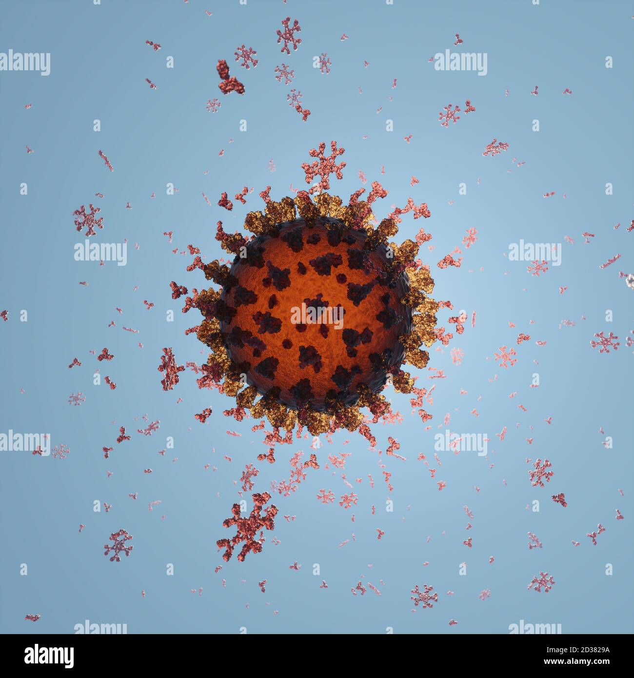 Humane Antikörper (IgG und IgM), die ein Corona-Virus angreifen (SARS-CoV-2, Covid 19). Ein genaues Modell auf Basis wissenschaftlicher Strukturdaten aus dem HVE. Stockfoto