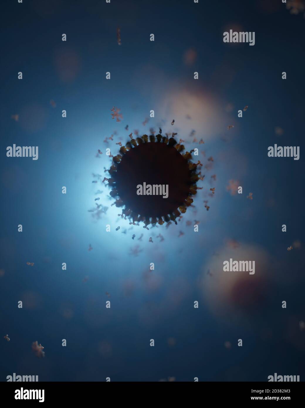 Cluster von humanen Antikörpern (IgG und IgM), die ein Corona-Virus angreifen (Covid 19). Ein genaues Modell auf Basis wissenschaftlicher Strukturdaten aus dem HVE. Stockfoto