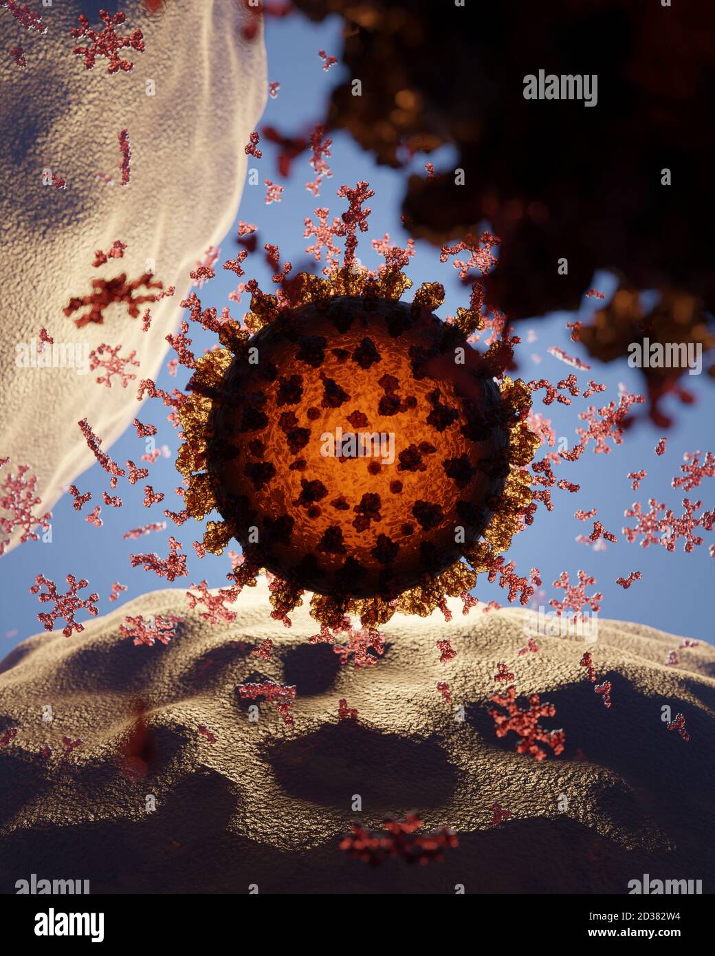 Corona-Virus (Covid 19) infiziert eine Zelle. Anitibodies sind vorhanden. Ein genaues Modell, das auf wissenschaftlichen Strukturdaten der Protein-Datenbank basiert. Stockfoto