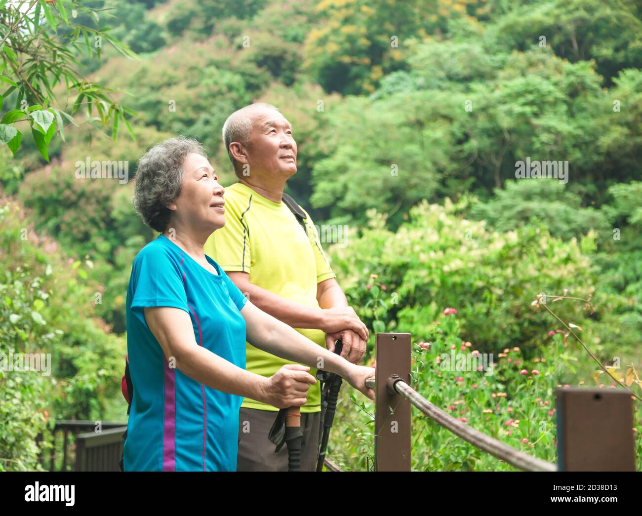 Ältere Paare wandern im Naturpark und schauen nach oben Stockfoto