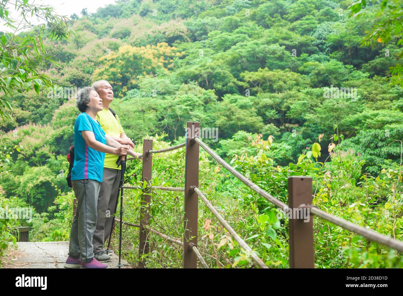 Ältere Paare wandern im Naturpark und schauen nach oben Stockfoto