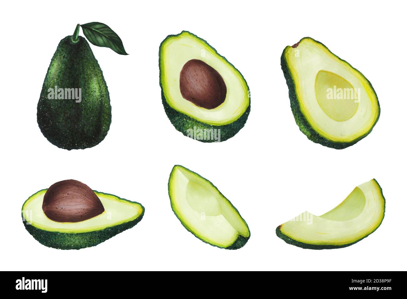 Set von Avocado mit Blatt isoliert auf weißem Hintergrund. Keto Diät Handzeichnung. Bio-Lebensmittel. Gesunde Ernährung Konzept, Paleo Produkte, Label, Banner Stockfoto