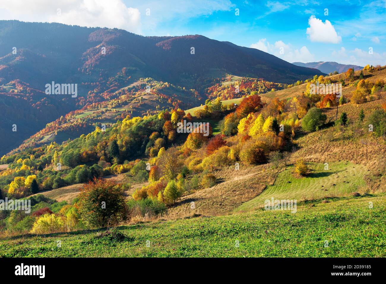 Schöne Berglandschaft an einem sonnigen Tag. Wunderbare Landschaft in der Herbstsaison. Ländliche Felder und Bäume in bunten Laub auf der Ferne Stockfoto