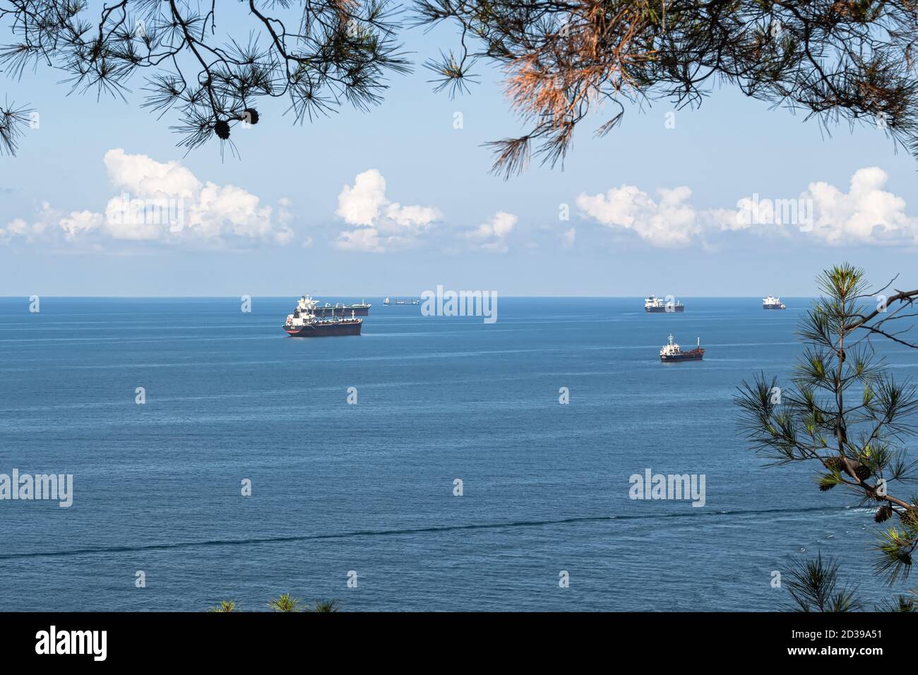 Nahaufnahme der Sommerlandschaft. Blaues Meer, Wolken über dem Horizont und Frachtschiffe, Blick durch die grünen Äste von Bäumen. Gelendschik. Russland Stockfoto