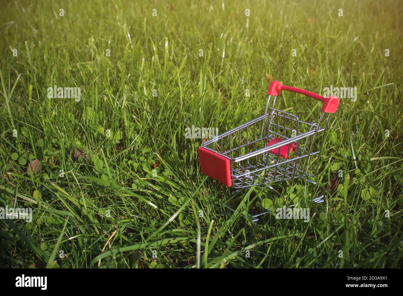 Mini-Warenkorb mit Kopierplatz auf grünem Gras Hintergrund mit Sonnenlicht. Konzept der natürlichen Ernährung Bio gesunde Ernährung Ernährung Stockfoto