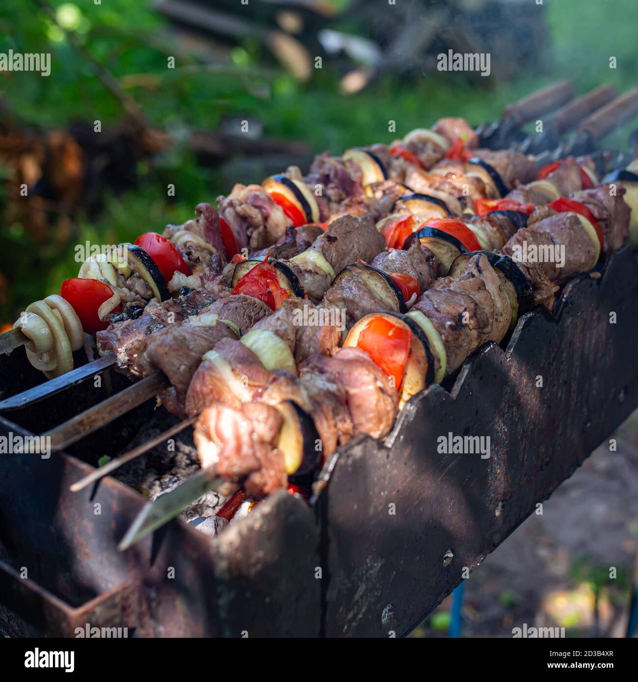 Spieße ungekocht in der Natur auf Spieße im Freien. Shashlyk Stockfoto