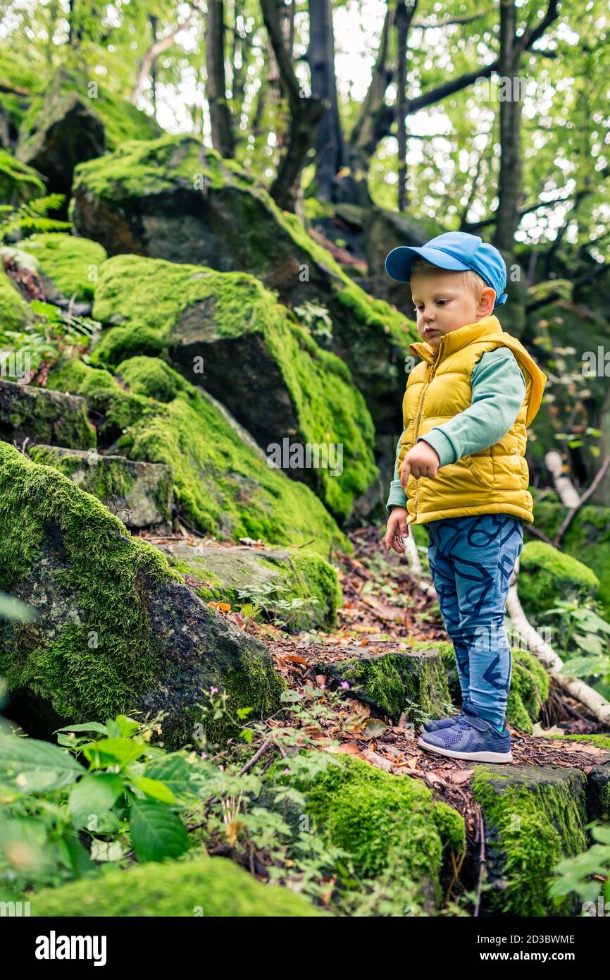 Kleinkind Junge Wandern und Klettern in den Bergen, Familienabenteuer. Kleines Kind, das im felsigen grünen Wald spazierengeht. Stockfoto