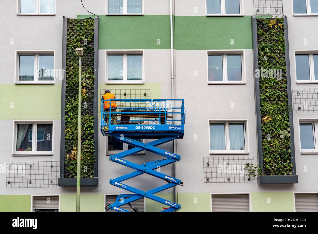 Installation von Fassadenbegrünung an 4 Wohngebäuden, Gladbecker Straße, B224, sollen sie Stickoxide und Feinstaub abfiltern Stockfoto
