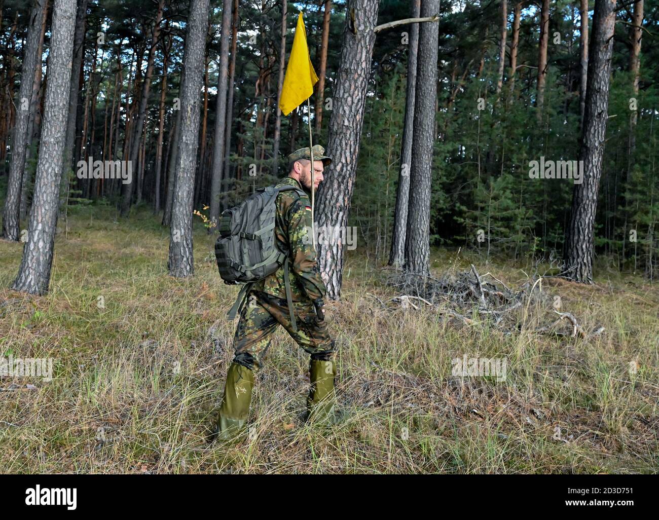 08. Oktober 2020, Brandenburg, Groß Gastrose: Ein Soldat der Bundeswehr vom Jägerbataillon 413 aus Torgelow (Mecklenburg-Vorpommern) sucht im Rahmen der Hilfe zur Eindämmung der Afrikanischen Schweinepest (ASP) einen Wald nach Damwild. Soldaten des Jägerbataillons 413 und der Reserve Support Company Brandenburg sind derzeit im Einsatz, um die Maßnahmen des Landkreises Spree-Neisse im Kampf gegen die Afrikanische Schweinepest zu unterstützen. Insgesamt gibt es etwa 140 Soldaten, die in zwei Einsatzphasen eingesetzt werden. Foto: Patrick Pleul/dpa-Zentralbild/dpa Stockfoto