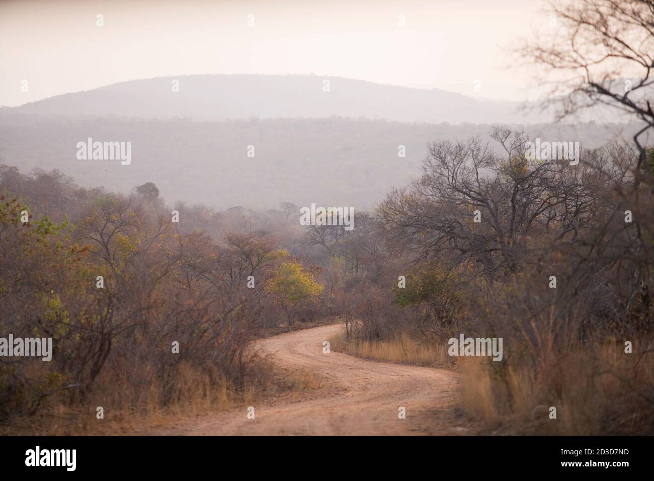 Blick entlang der kurvenreichen Landstraße, südliches Afrika. Stockfoto