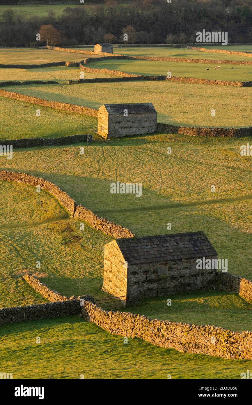 Stone Field Barns in Gunnerside, Swaledale, North Yorkshire, Yorkshire Dales National Park. Winter (Februar 2019) Stockfoto