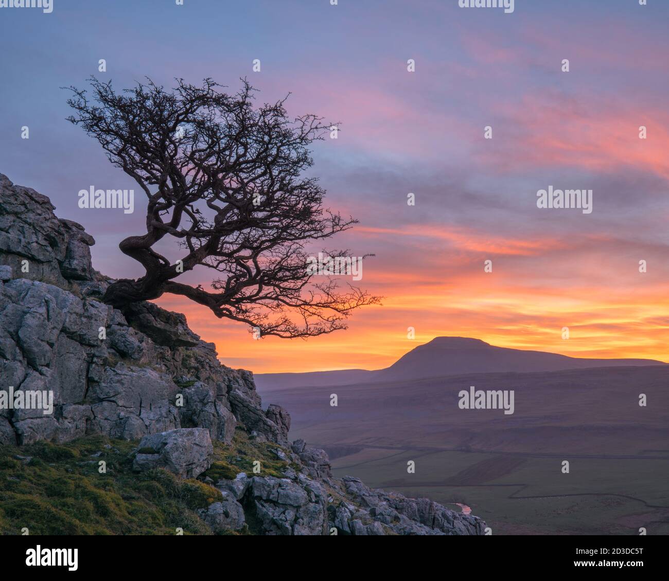 Ingleborough Hill von Twisleton Scar über Ingleton, North Yorkshire, Yorkshire Dales National Park. Winter (Februar 2019) Stockfoto