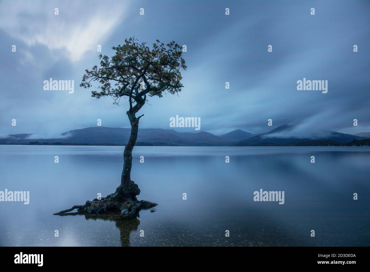 Millarochy Bay, Loch Lomond, The Tossachs, Schottland. Herbst (Oktober 2019) Stockfoto