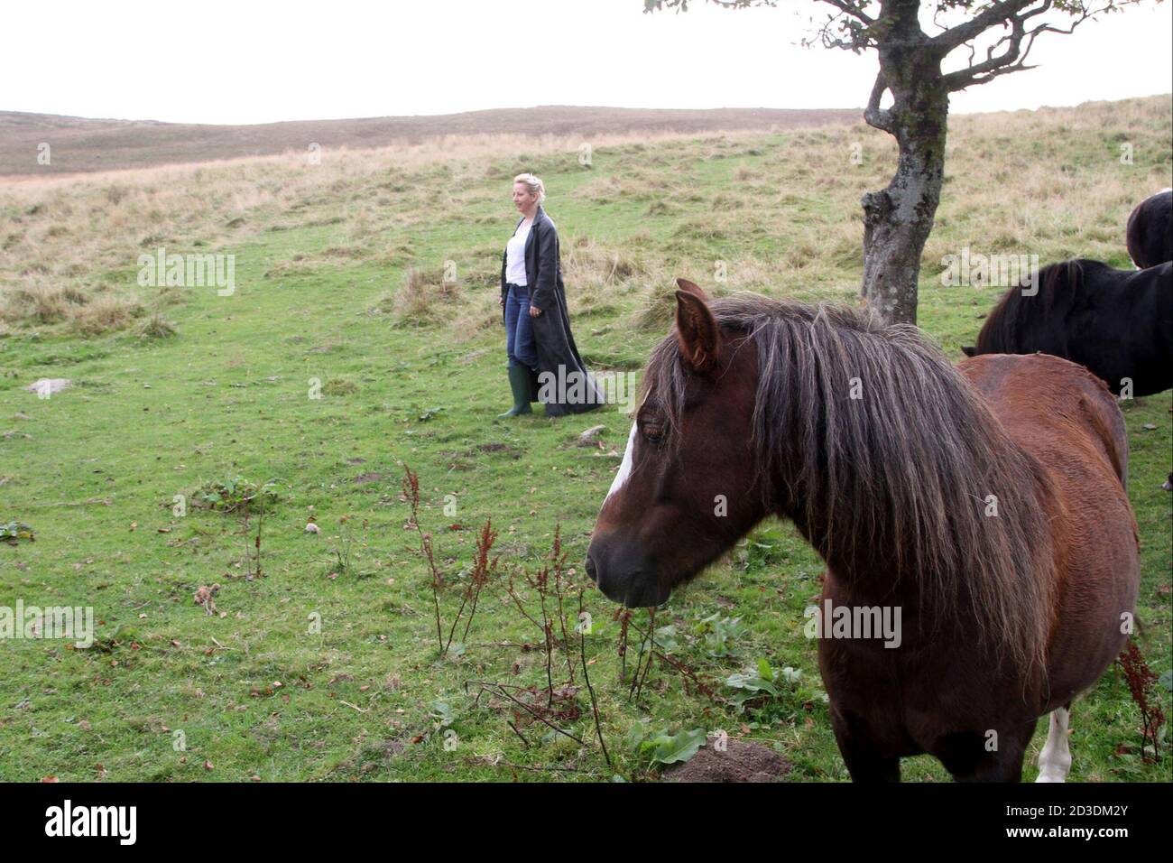 Weiß kaukasisch gefärbte blonde Frau mittleren Alters in ihren 40er Jahren trägt einen langen Ledermantel aus einem Second-Hand-Shop im Feld mit Pferden und Ponys gekauft. Stockfoto