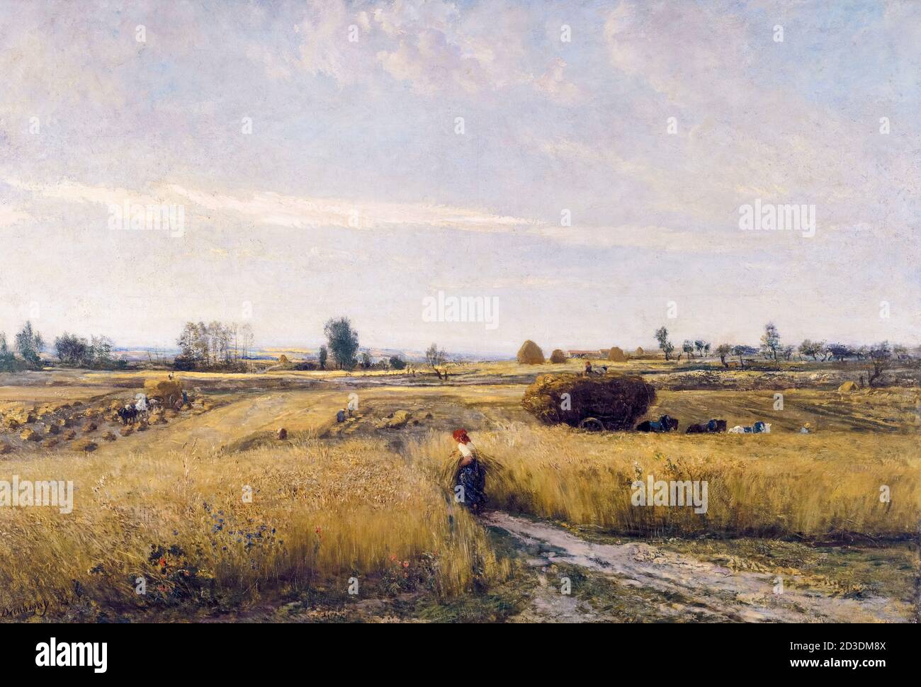 Die Ernte, Landschaftsmalerei von Charles-François Daubigny, 1851 Stockfoto