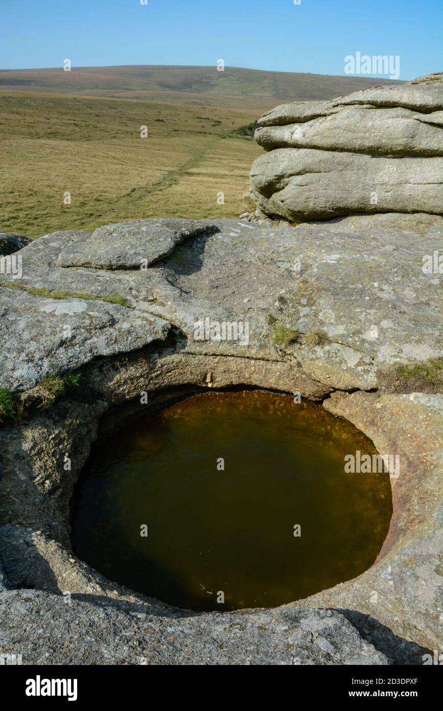 Natürlich geformtes Rock Basin am Kestor Rock am Dartmoor Stockfoto