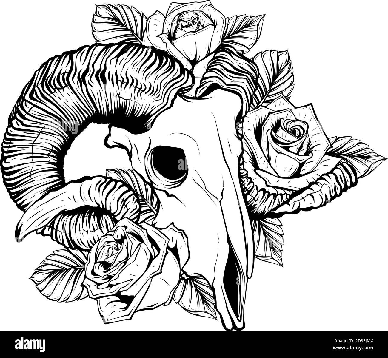Ziege Schädel Vektor-Illustration. Ziege teuflischen magischen Symbol und Blumen Pfingstrosen und Rosen Stock Vektor