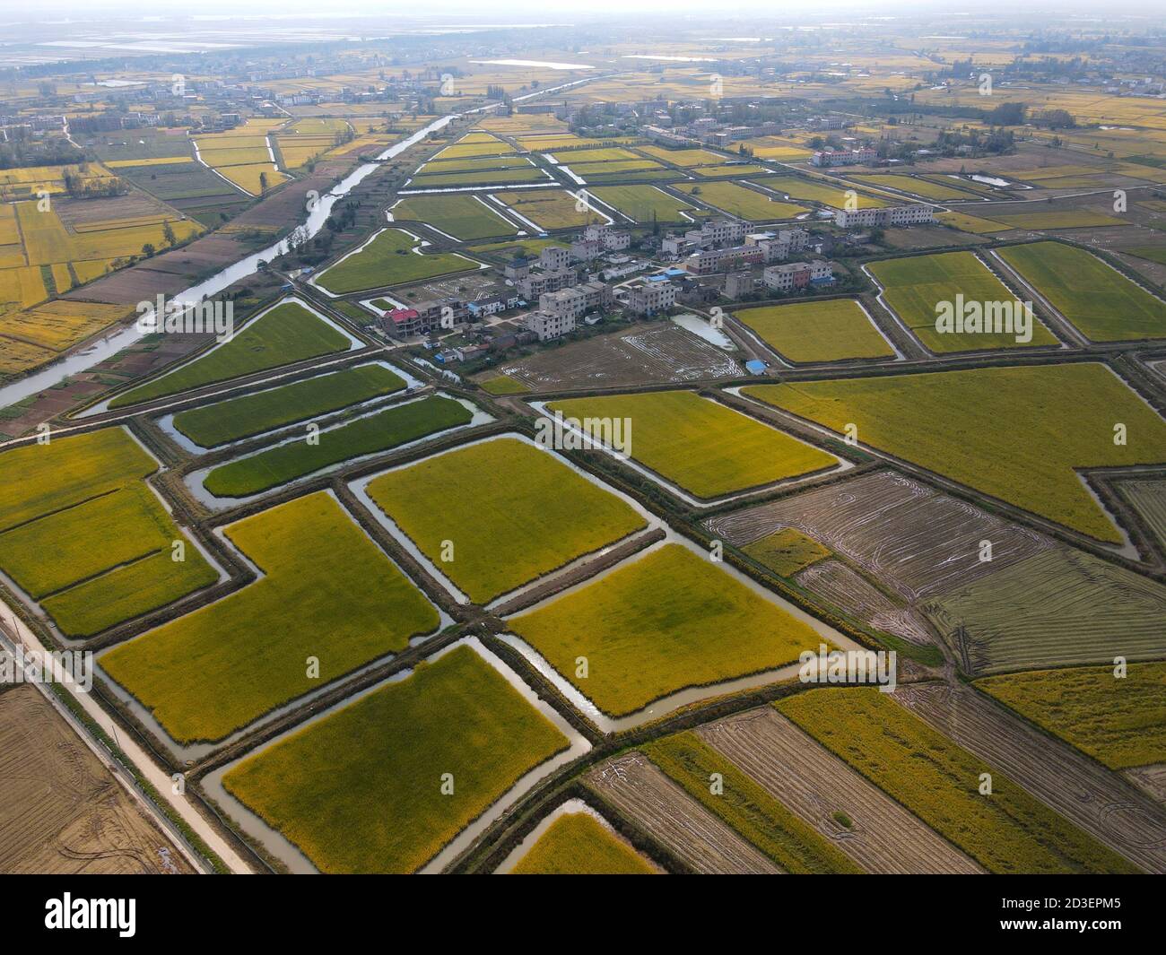 (201008) -- YINGSHANG, 8. Oktober 2020 (Xinhua) -- Luftfoto zeigt Reisfelder in der Gemeinde Balihe, Bezirk Yingshang, ostchinesische Provinz Anhui, 8. Oktober 2020. (Xinhua/Zhou Mu) Stockfoto