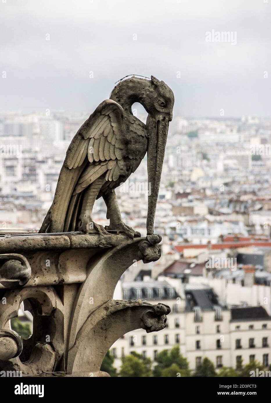 Mythische Kreatur Gargoyle auf Kathedrale Notre Dame de Paris. Frankreich. Stockfoto